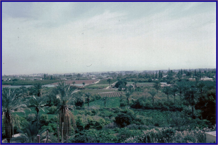 The modern city of Jericho
